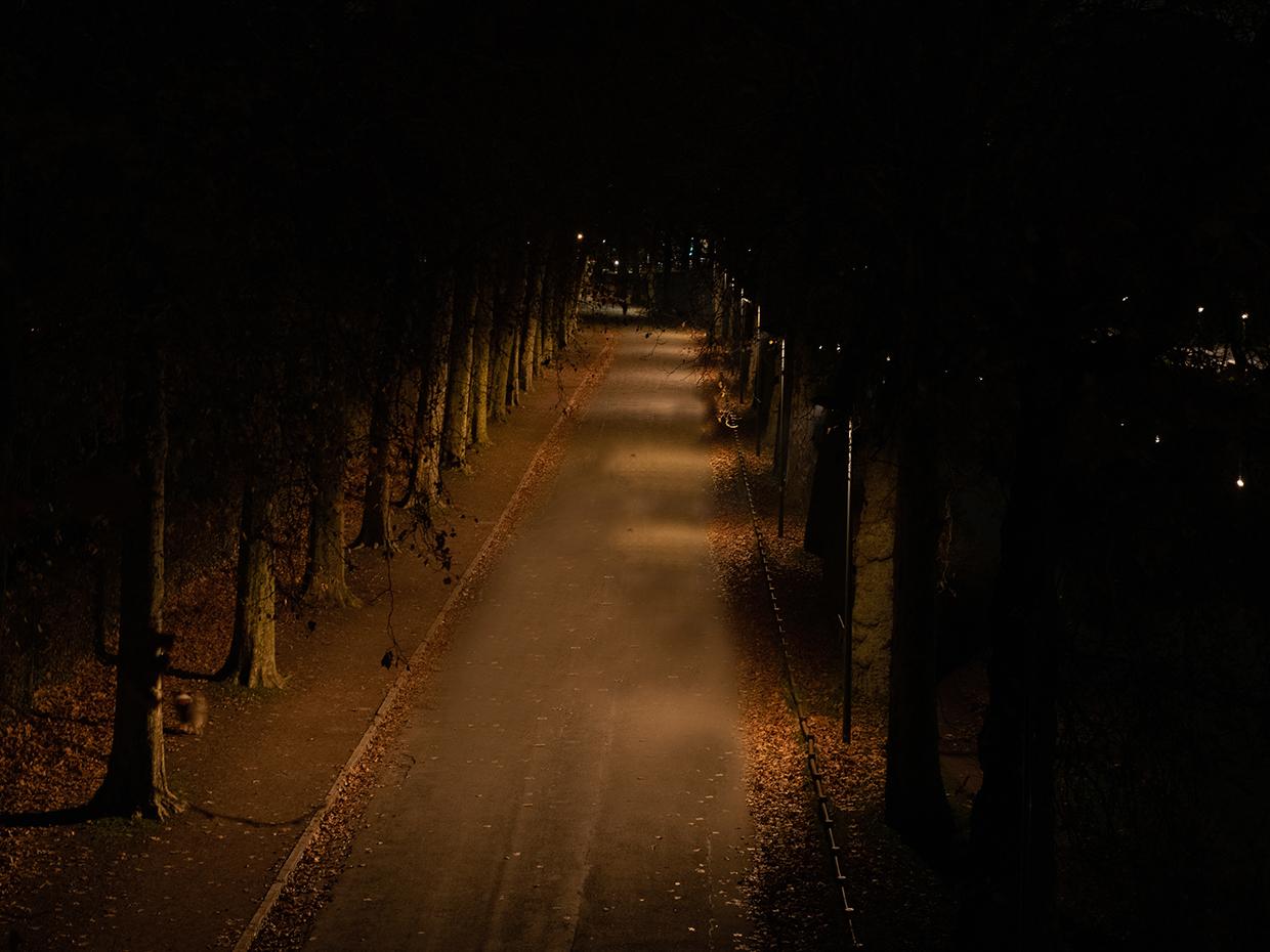 Schréder lighting solutions ensure safety for people while protecting faune and flora at night
